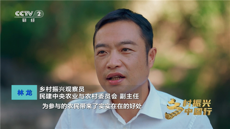 央視鏡頭下，鳴鳴很忙如何把鄉村好物賣爆全國 突破農產品零售瓶頸的城鄉產業協同樣板